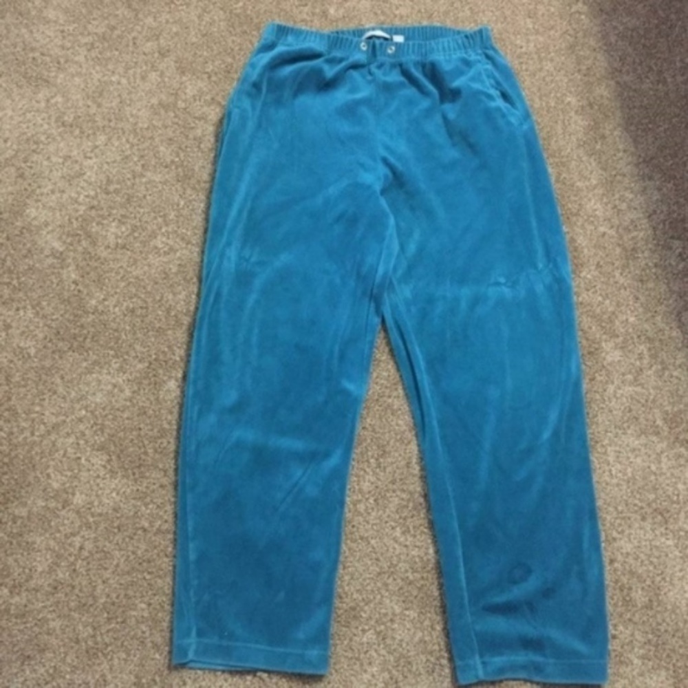 Nordstrom aqua velour elastic waist pants PL